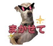 843383558