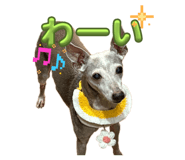 843383560
