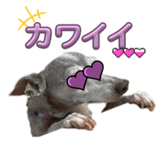 843383561