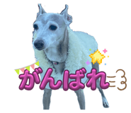 843383565