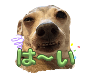 843383566