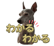 843383568