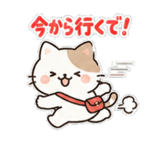 843383646
