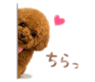 843383783
