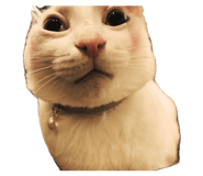 843384233