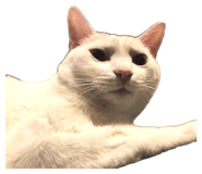 843384236