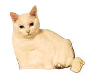 843384237