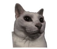843384240