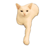 843384243
