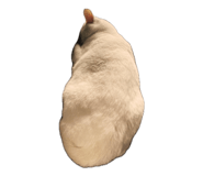 843384250