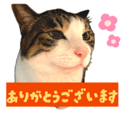 843384407