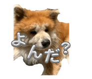 843384425