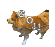 843384430