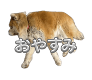 843384433