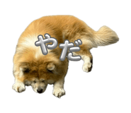 843384437