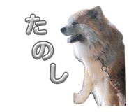 843384438