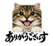 843384452