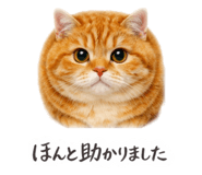 843384453