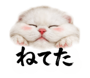 843384457