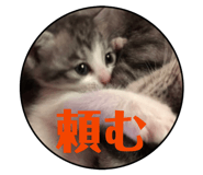 843384872