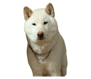 843384969