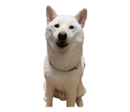 843384970