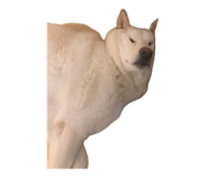843384984