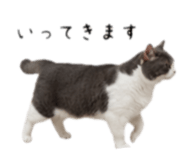 843385225