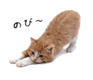 843385235