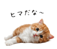 843385237