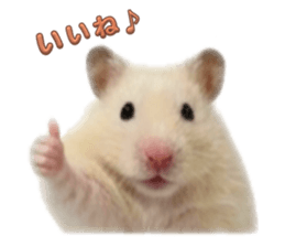 843385259