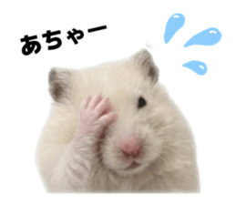 843385261