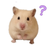 843385263
