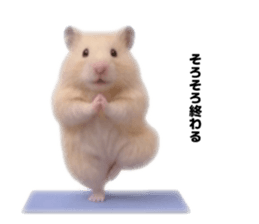 843385287