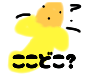 843385529