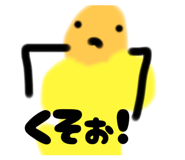 843385539