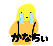 843385559