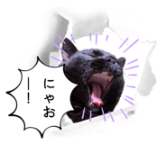 843385643
