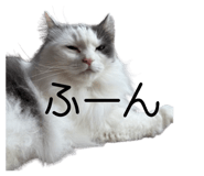 843385660