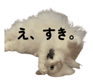 843385661