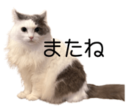 843385669