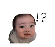 843385739
