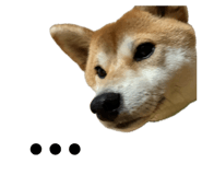 843385754