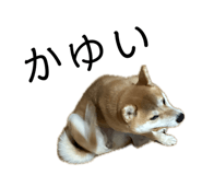 843385762