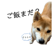 843385763