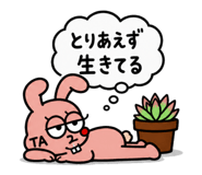 843385844