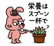 843385851