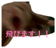 843386122