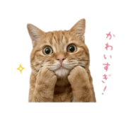 843386925