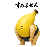 843387427